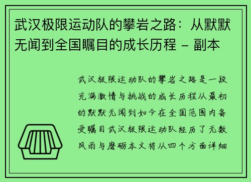 武汉极限运动队的攀岩之路：从默默无闻到全国瞩目的成长历程 - 副本